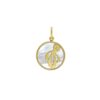 14K Yellow Gold Octopus MOP Charm Pendant