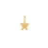 14k Yellow Gold Mini Star Charm