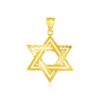 14k Yellow Gold Textured Star of David Pendant