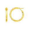 14k Yellow Gold Petite Twisted Round Hoop Earrings(3x20mm)