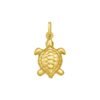 14K Yellow Gold Polished Turtle Charm Pendant