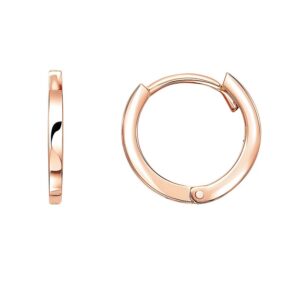 14k Rose Gold Petite Polished Round Hoop Earrings
